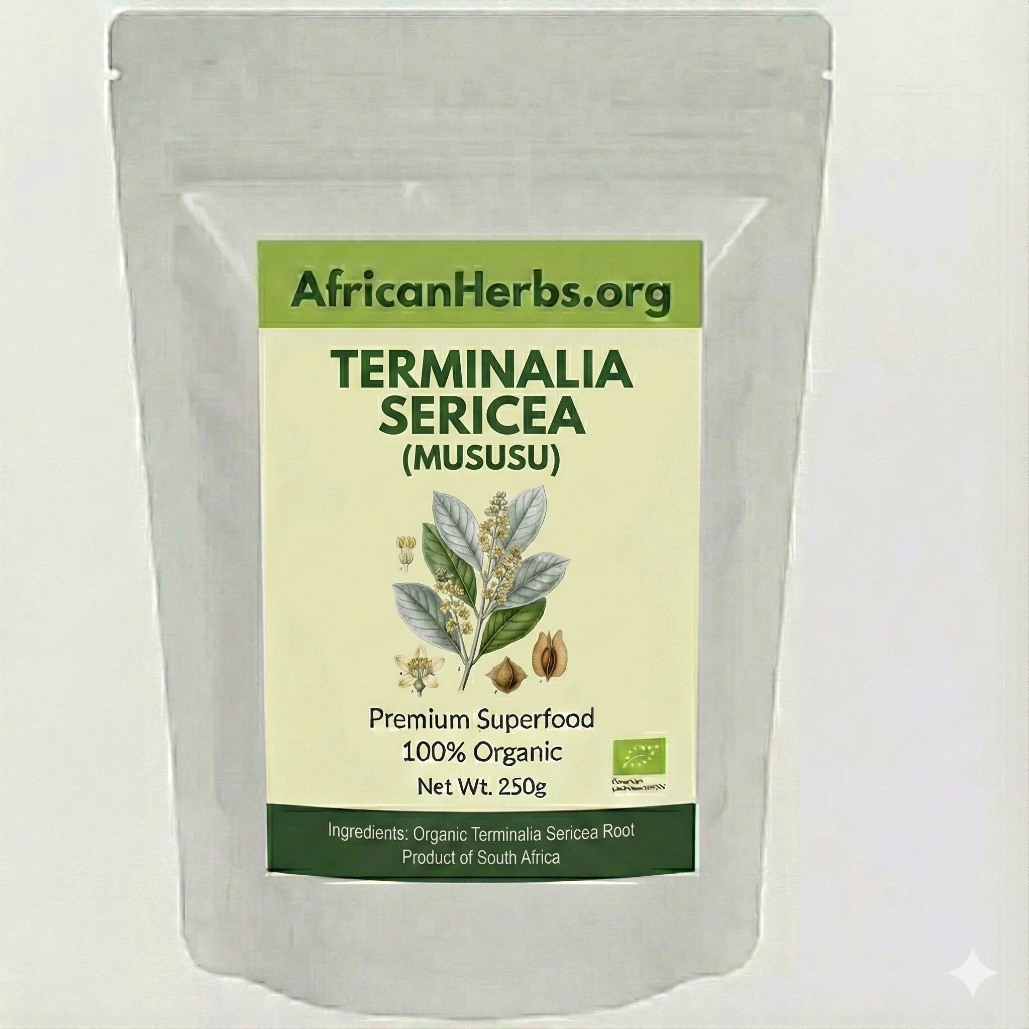 Terminalia Sericea